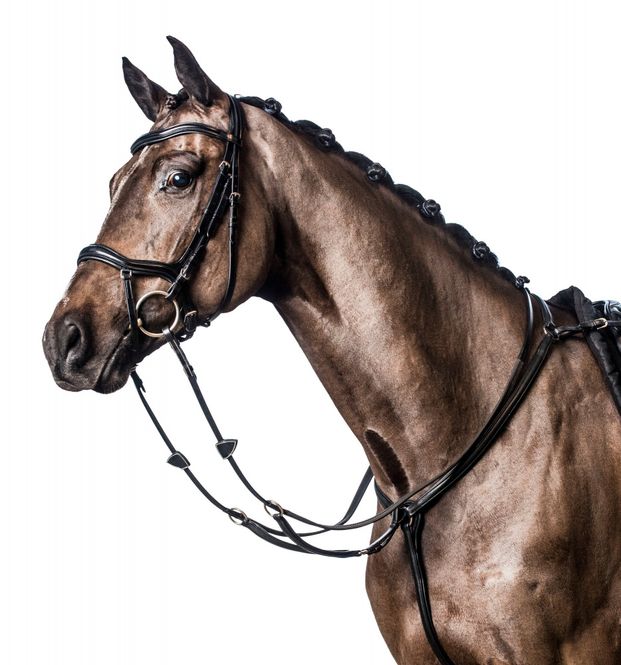 Hovedbilde HG soft leather breastplate