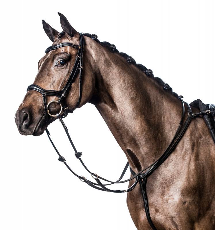 HG soft leather breastplate
