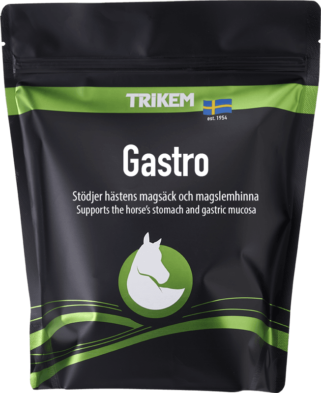 Vimital Gastro 1000gr